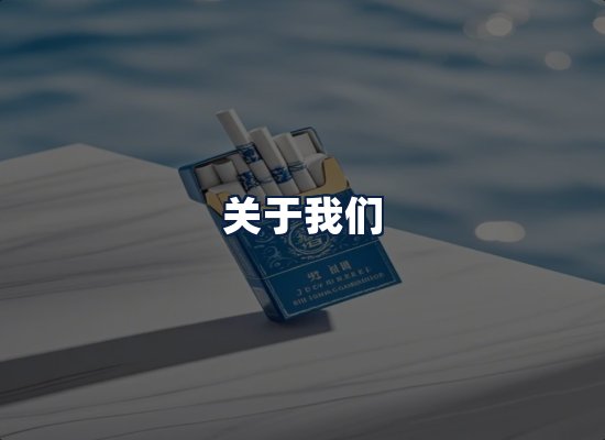 关于我们